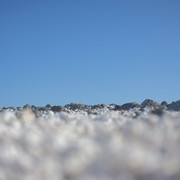 DSCF8483