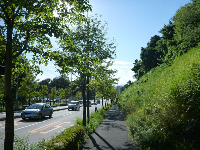 P1340164