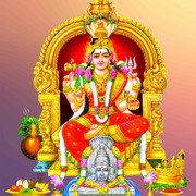 NEW KOVIL THIRUVIZHA FLEX - 5