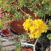IMG-6874