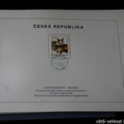 IMG-2216