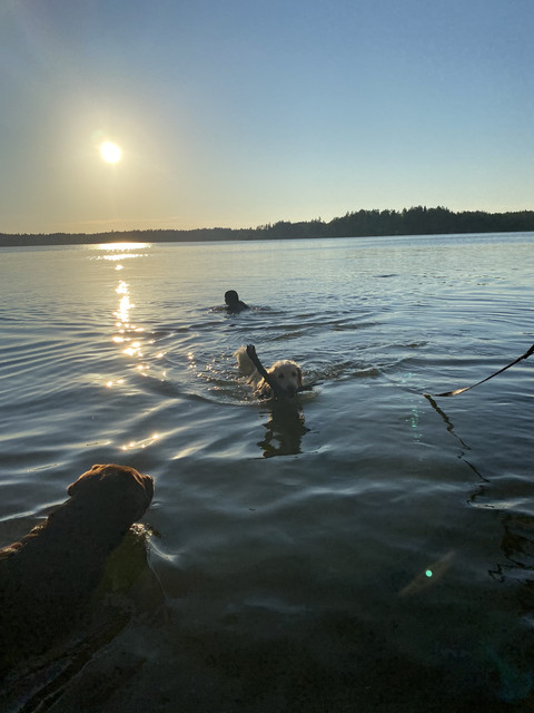 46-F44-A92-6591-4-F72-9-CEE-9059-DCAB2-D