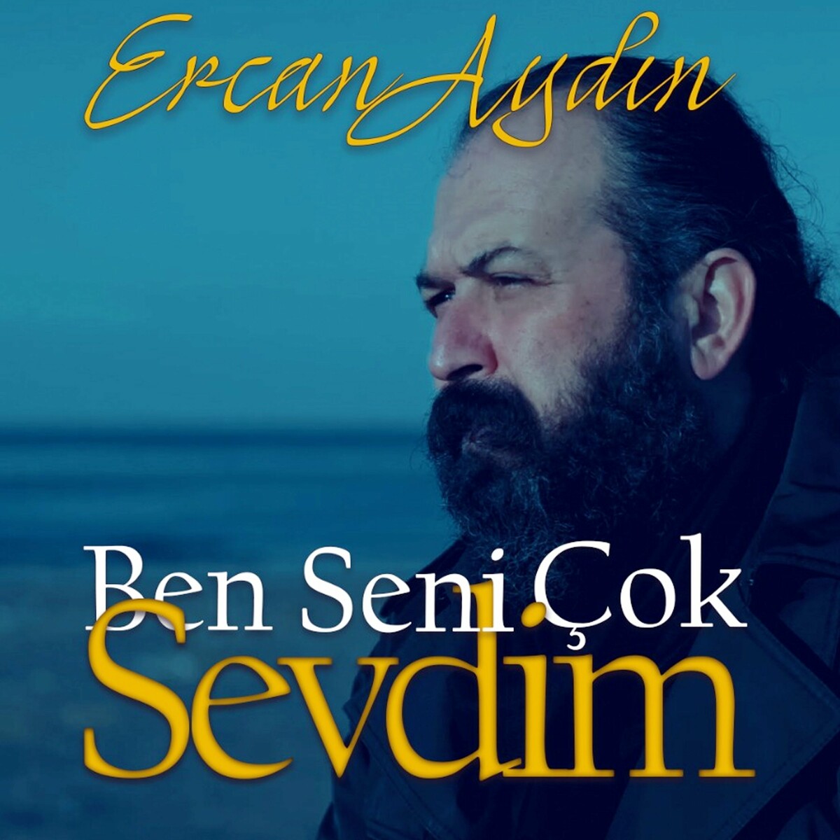 Resim