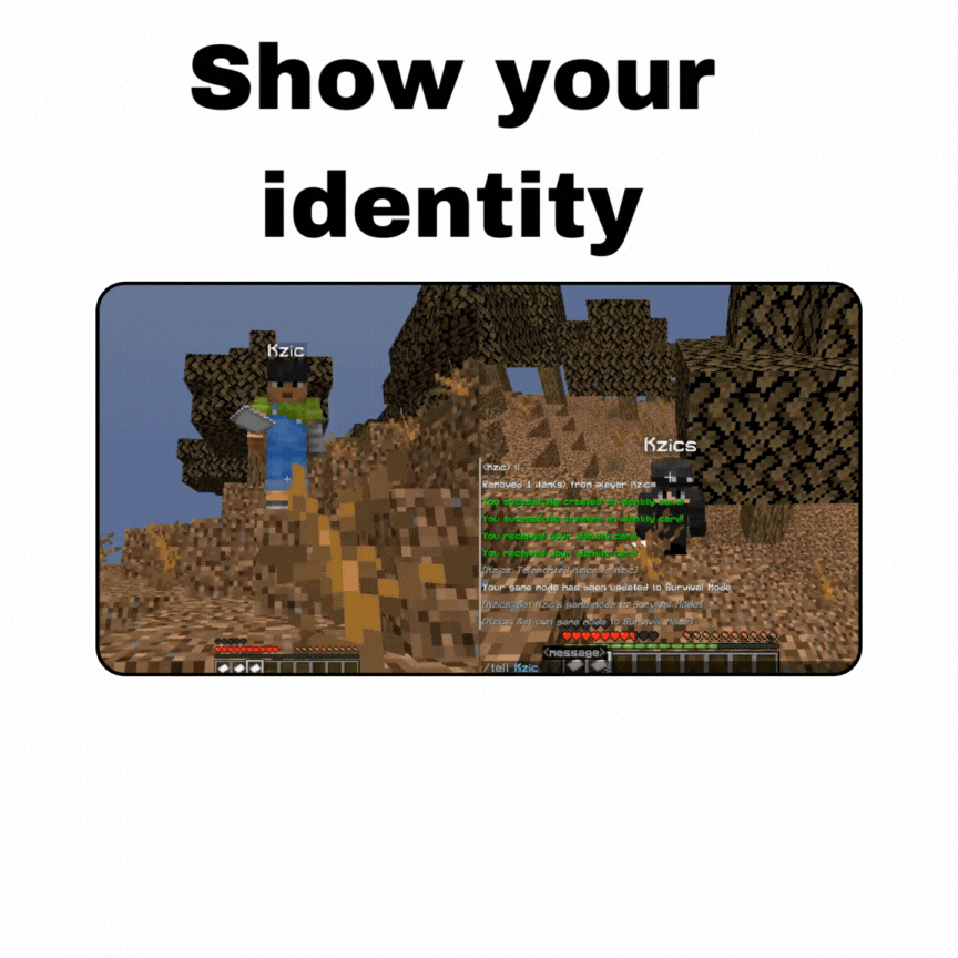 Codified Minecraft Player MineIdentity | BuiltByBit