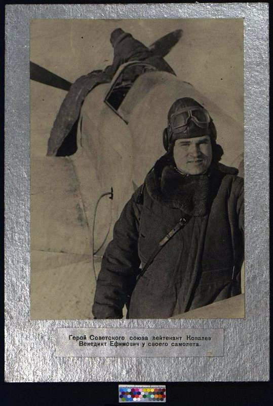 https://i.ibb.co/XZ05XwrJ/image.jpg
