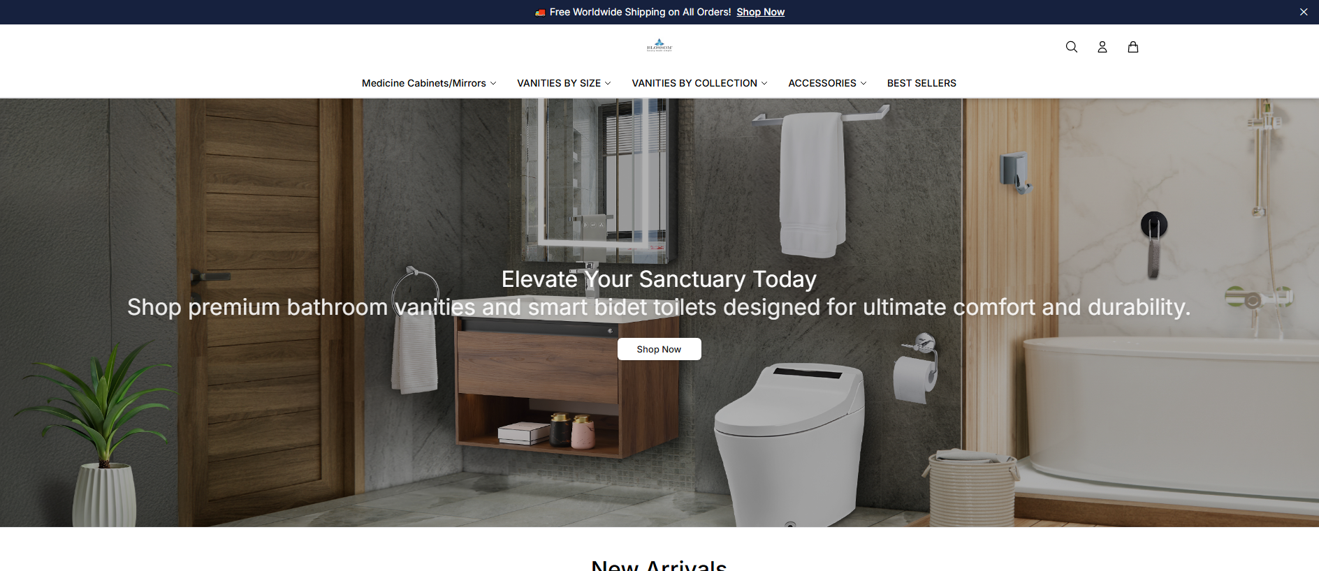 Primary capture · blossomkitchenbathdirect.shop