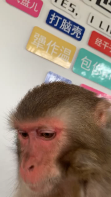 Украденное солнце. Universal Beijing Resort, Гуйлинь, Фужун, Чжанцзяцзе, Фэнхуан, Яншо. 8-17 апреля 2026. Украденное солнце. Universal Beijing Resort, Гуйлинь, Фужун, Чжанцзяцзе, Фэнхуан, Яншо. 8-17 апреля 2026.