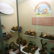 DSC00390
