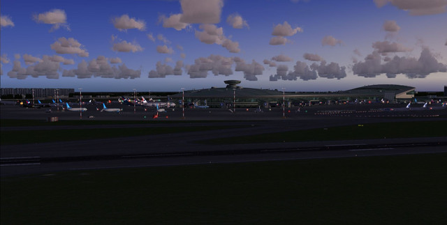 461.jpg