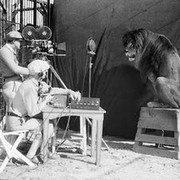 leoinaction2