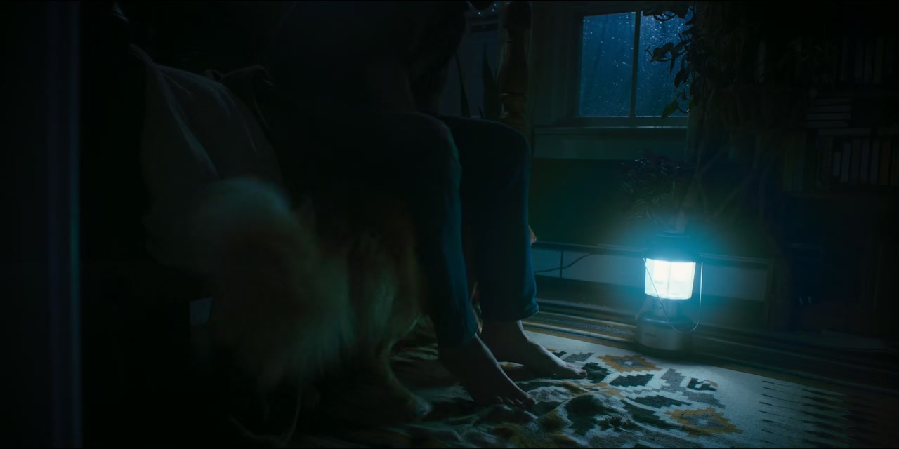Good Boy Screenshot