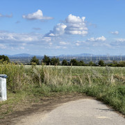 IMG-2520