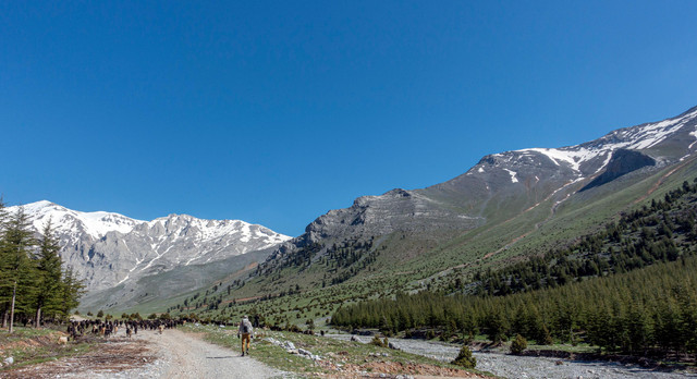 DSC00457 (2).jpg