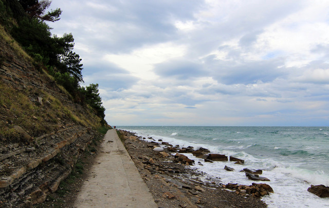 IMG-9845.jpg