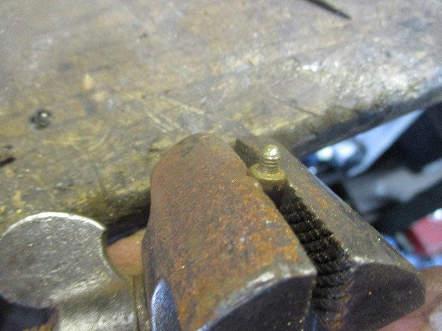 IMG-5732.jpg