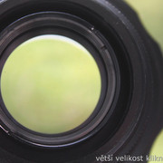 IMG-3054