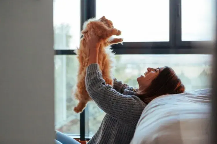 Building a Stronger Bond with Your Feline Friend