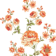 fe3a28cbcc16369413b3333dc725fa9a