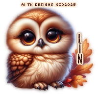 xcd-tk-tw-avi-Lin-christy.png
