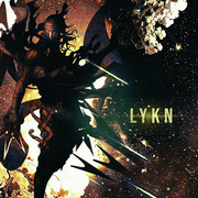 Day11lykn