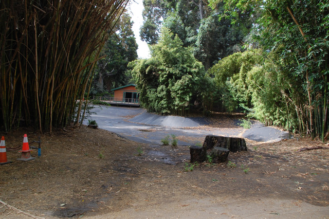 DSC 4622.jpg