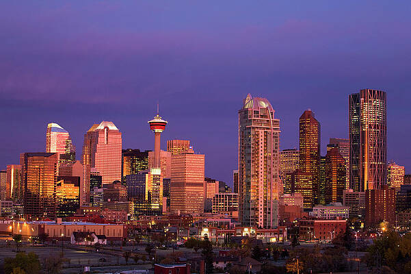 Private Equity strategy image