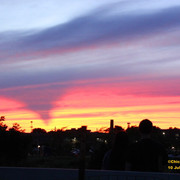 IMG 7952