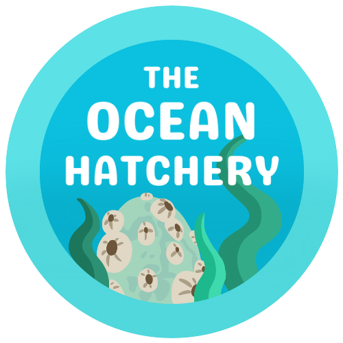 A large turquoise button with 'The Ocean Hatchery' in a smooth white font, depicting an Unhatched Water Egg nestled within a few strands of seaweed. A large turquoise button with 'The Ocean Hatchery' in a smooth white font, depicting an Unhatched Water Egg nestled within a few strands of seaweed.
