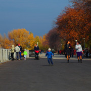 2014 год