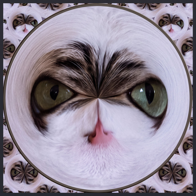 Creative Effects Challenge No. 289 - Orbing Again! | Photoshop Elements ...