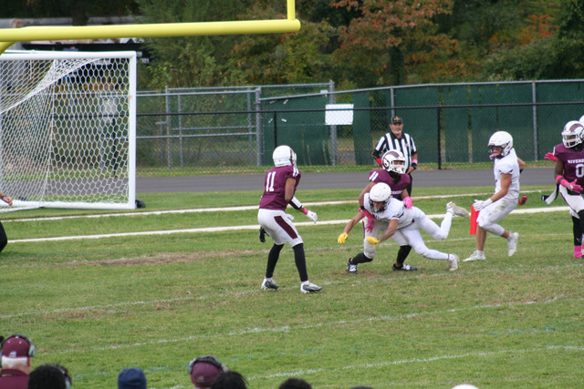 IMG-0597.jpg