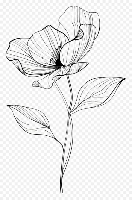 d9a07bb42ce6b0630b6ba44febdb1c3e.webp