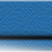 c blank