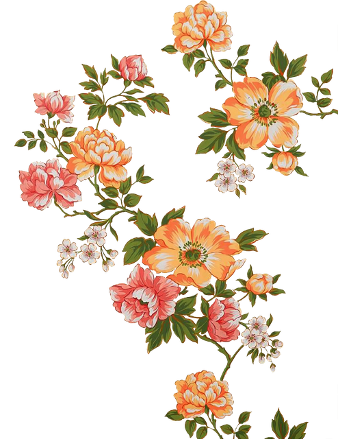 28818a61250c581ff7790d6e3779ba72.png