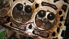 https://i.ibb.co/XZYK0MwD/osc-Xt.jpg