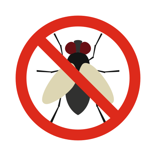 Lalat (Flies)