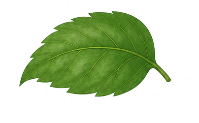 leaf.png
