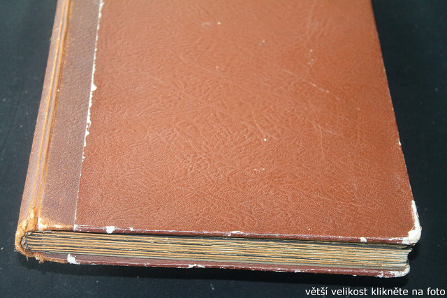 IMG-3134.jpg