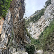 IMG 0307