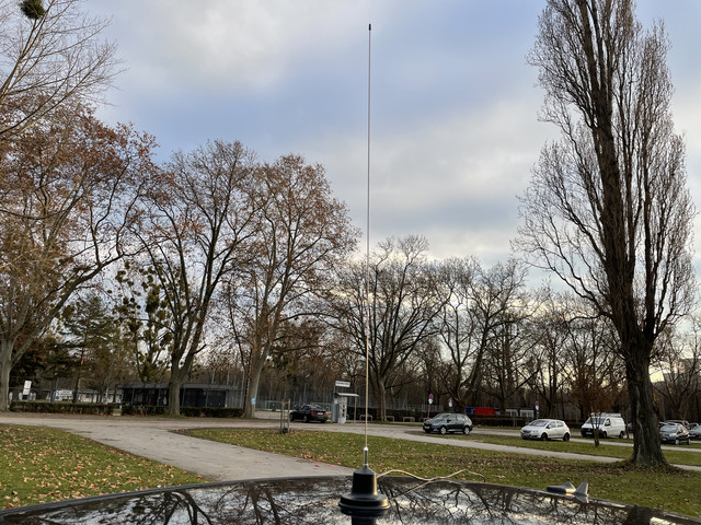 IMG-0293.jpg