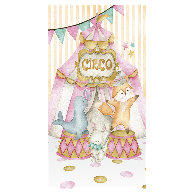306548 Circo