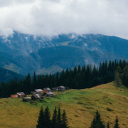 IPB Image