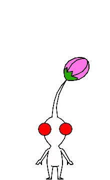 whitebud.png