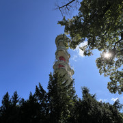 IMG-2179