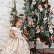 IMG 4415
