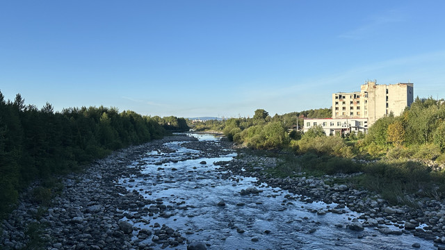 IMG 5905.jpg
