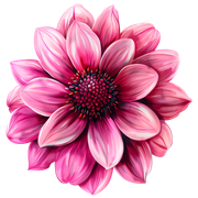 cb0a0876d0b3b92edb71d412c4bc3e37
