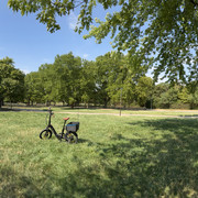 IMG 7991