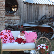 IMG-4498