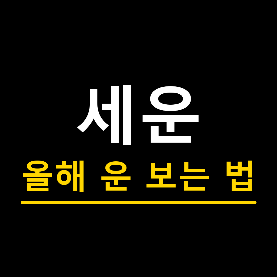 세운 올해 운 보는 법, 사주에서 이렇게 해석해요